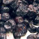 Tips To Identify Rotten Blueberry